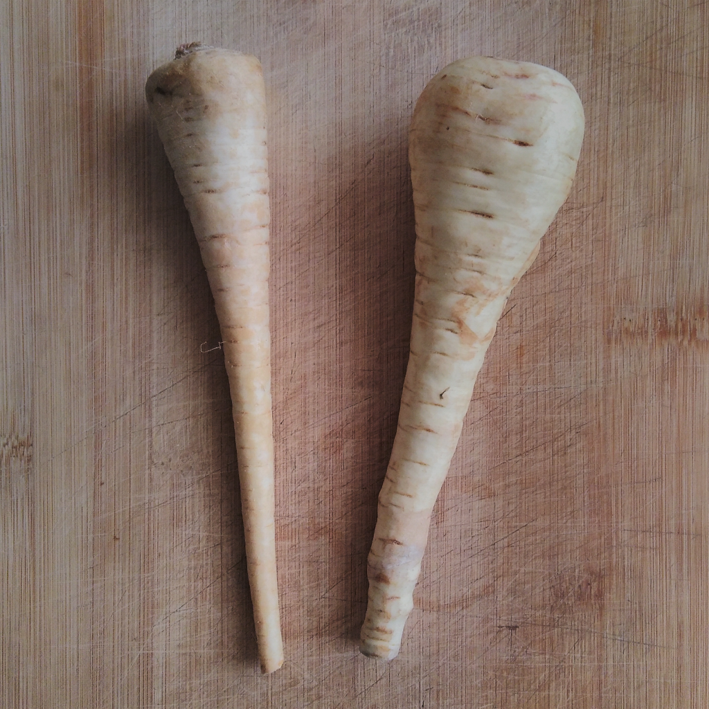Wurzelpetersilie und Pastinake - root parsley and parsnip
